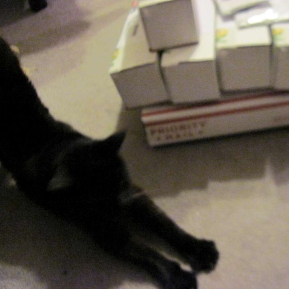 * Welcome to my Closet. Please Read! *  ~ Meet your Posher, Gina - Picture 12 of 16